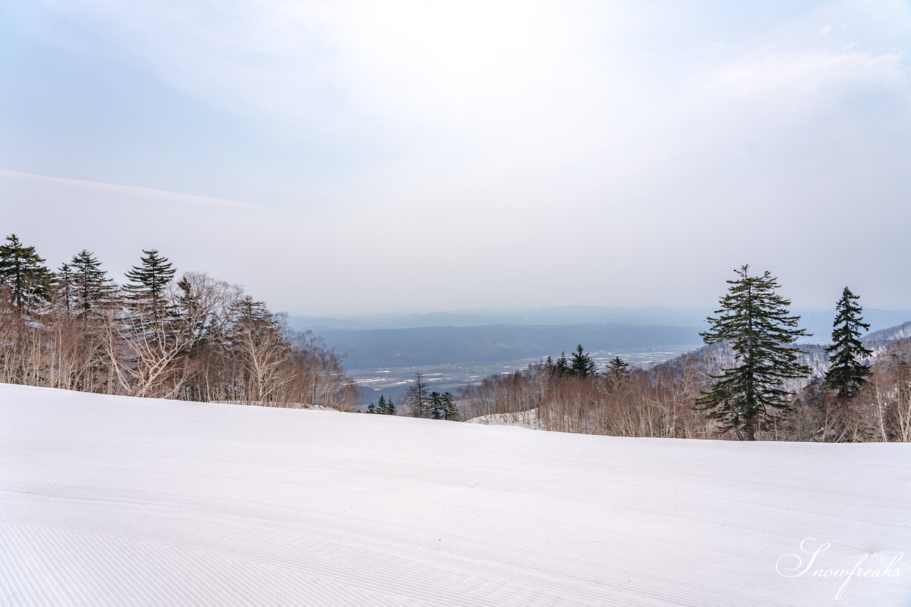 富良野スキー場　さすが富良野！4月24日現在、山麓までの全長約3,000ｍロングコースがオープン中(^^)/